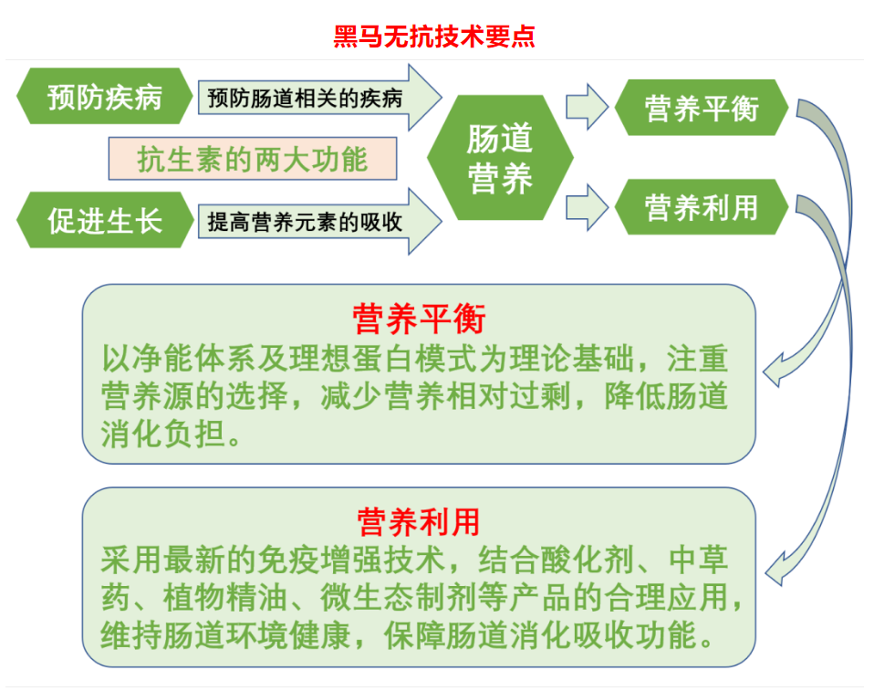無抗新技術,..